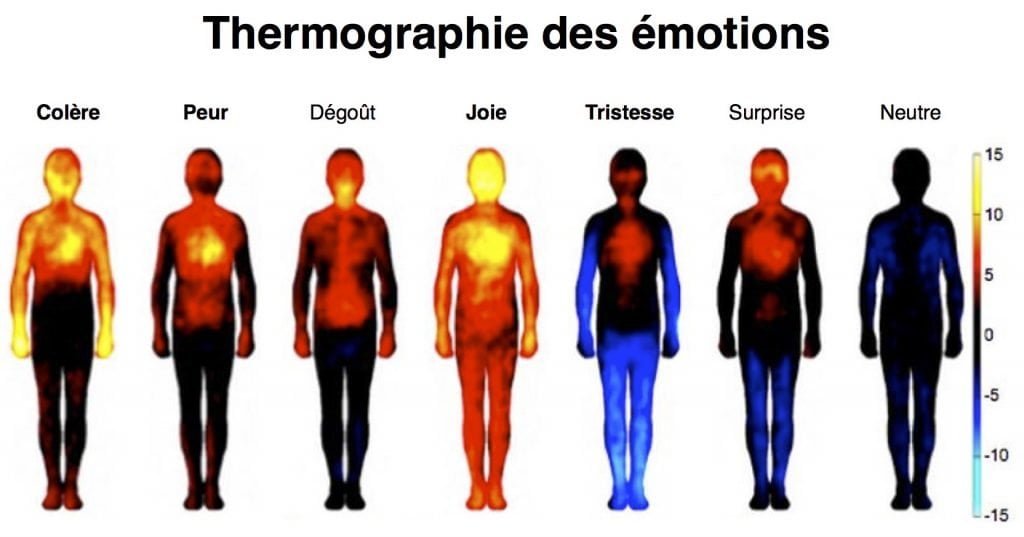 Thermographie des émotions